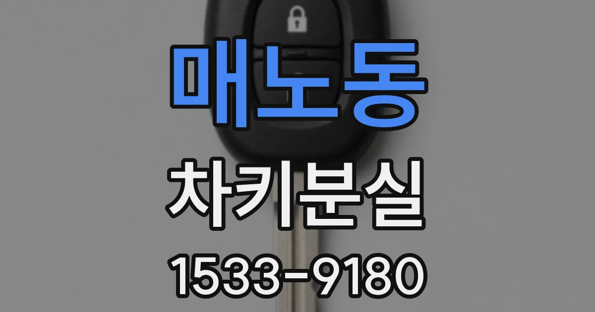매노동 차키분실