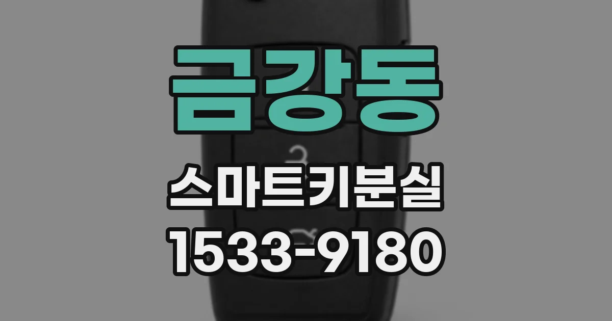 금강동 스마트키분실