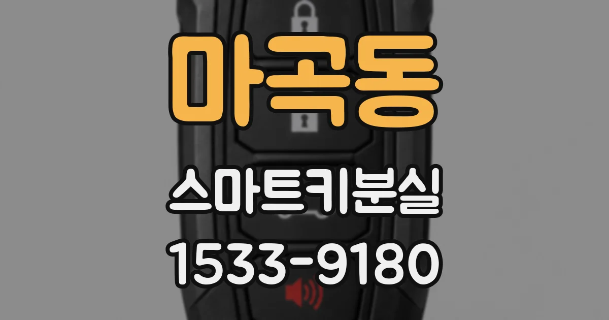 마곡동 스마트키분실