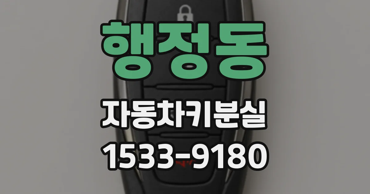 행정동 자동차키분실