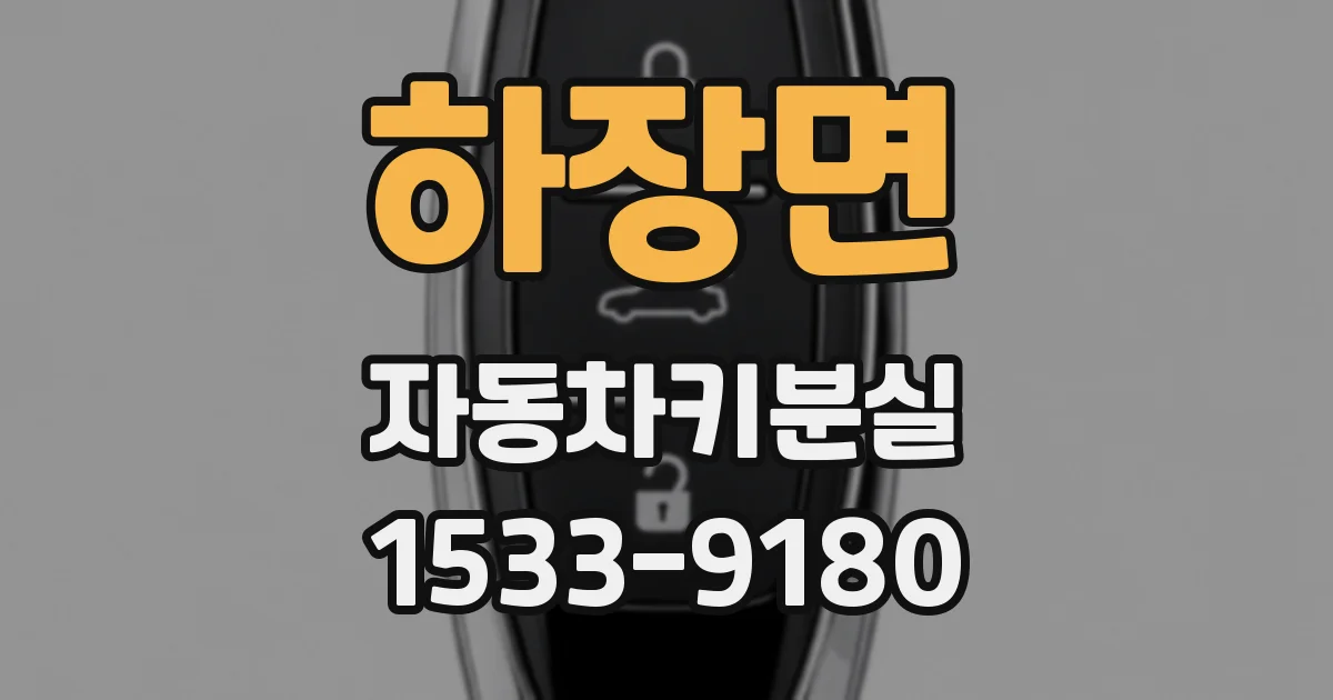 하장면 자동차키분실