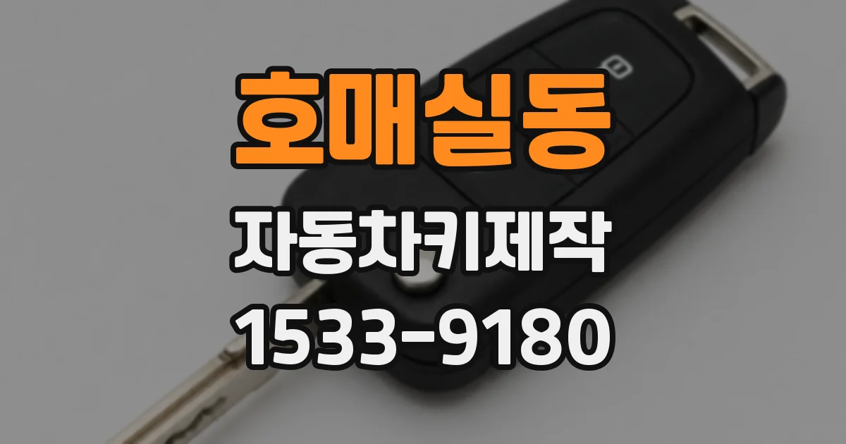 호매실동 자동차키제작