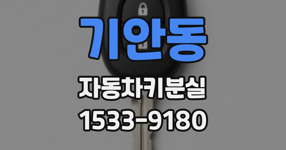 기안동 자동차키분실