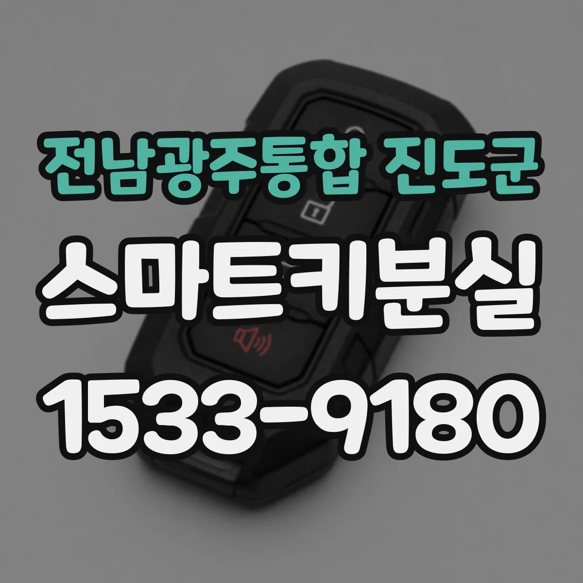 전남광주통합 진도군 스마트키분실