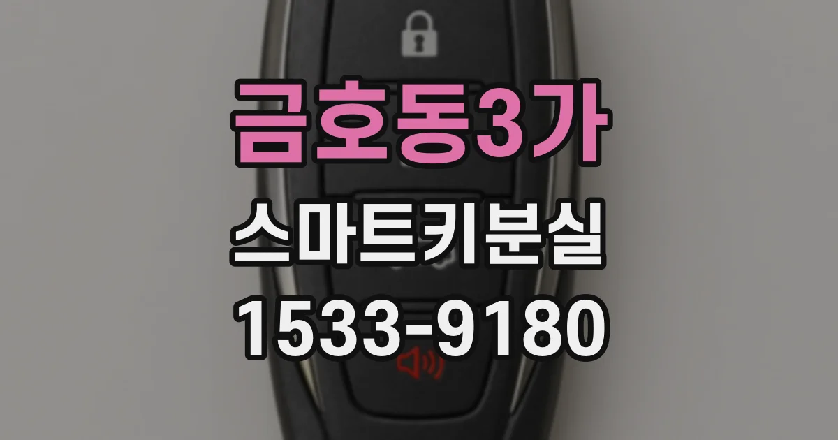 금호동3가 스마트키분실