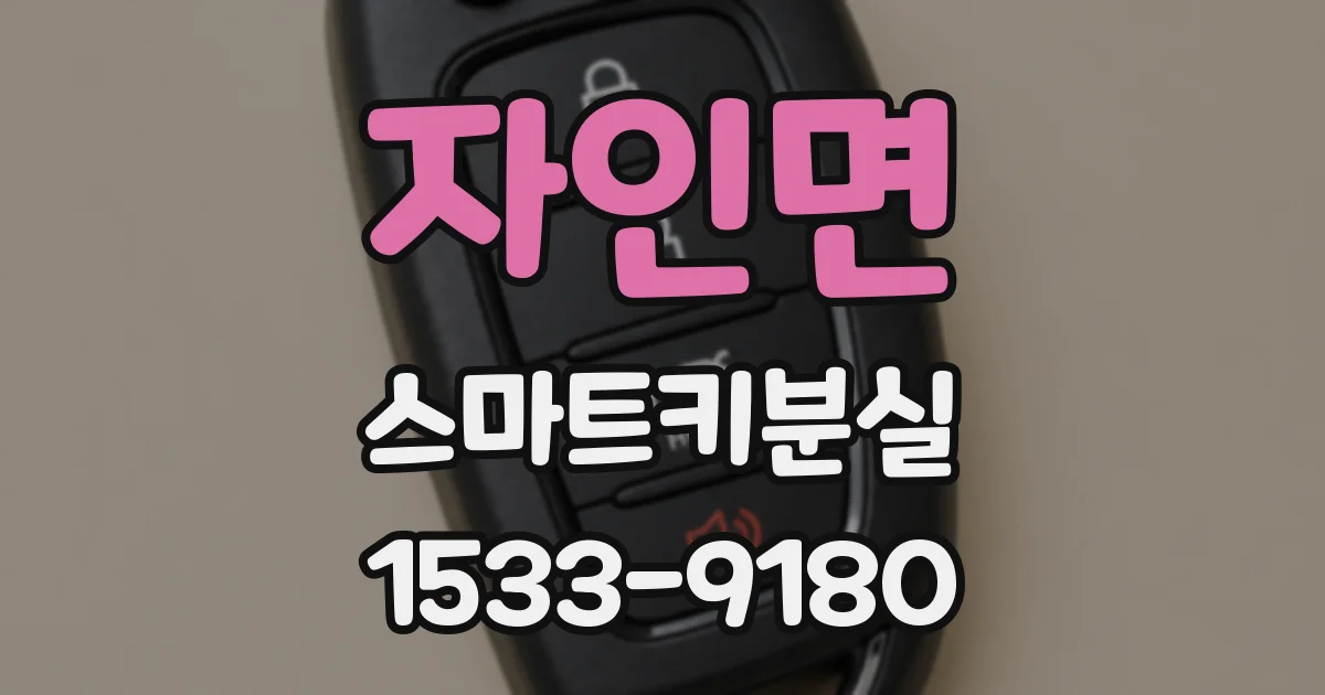 자인면 스마트키분실