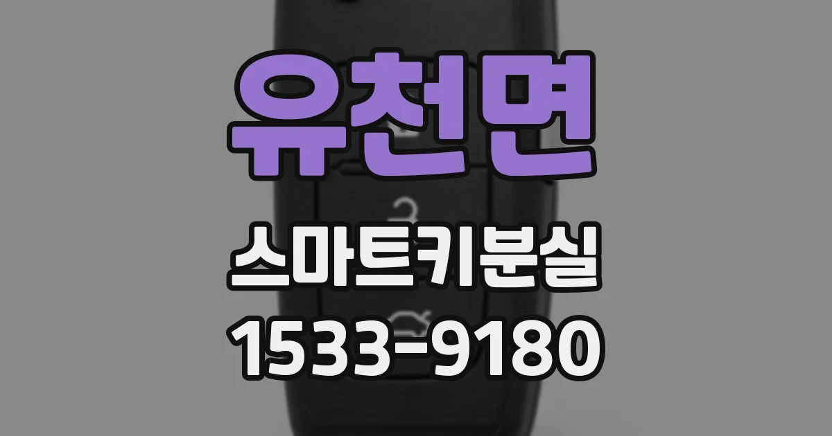 유천면 스마트키분실