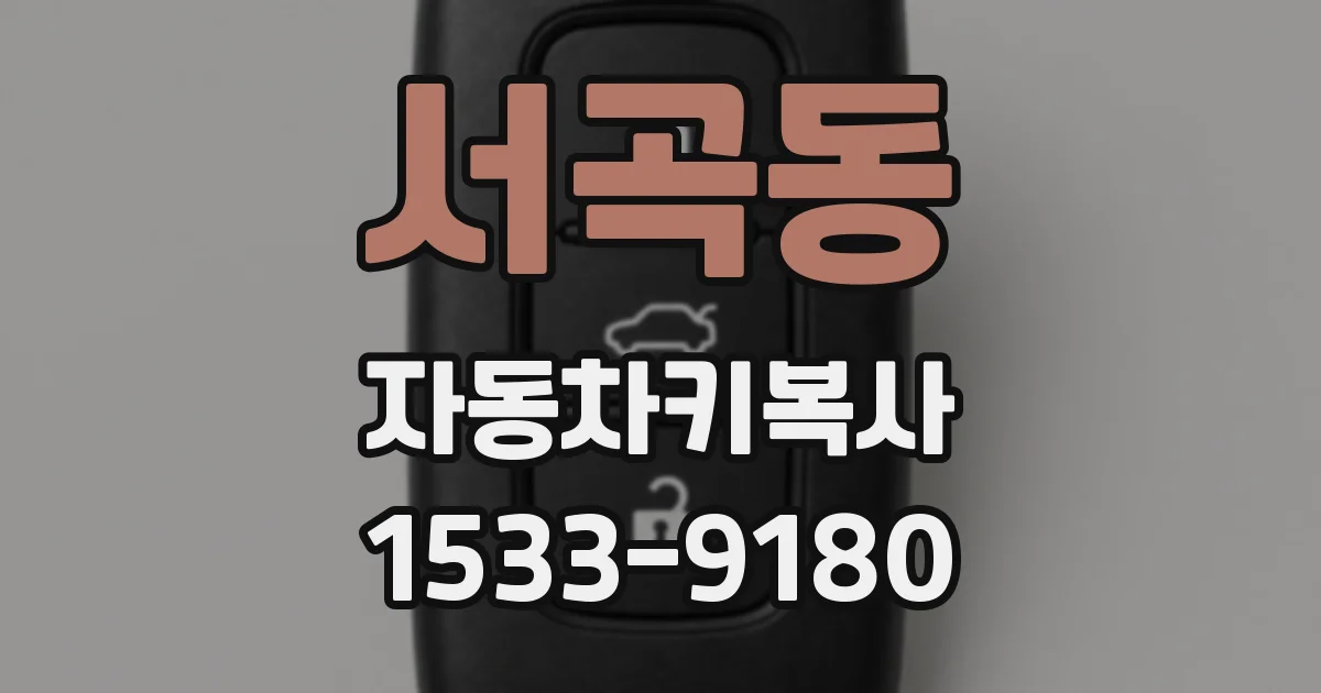 서곡동 자동차키복사