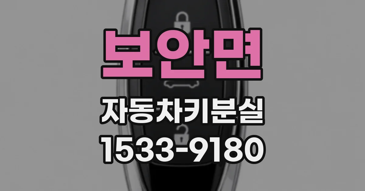 보안면 자동차키분실