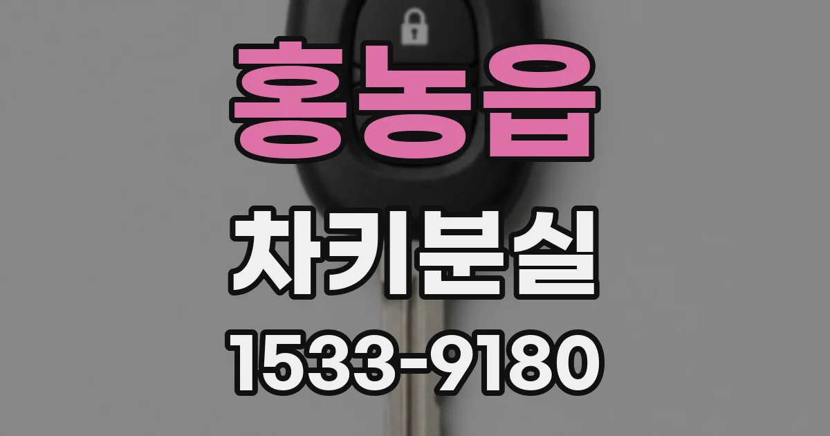 홍농읍 차키분실