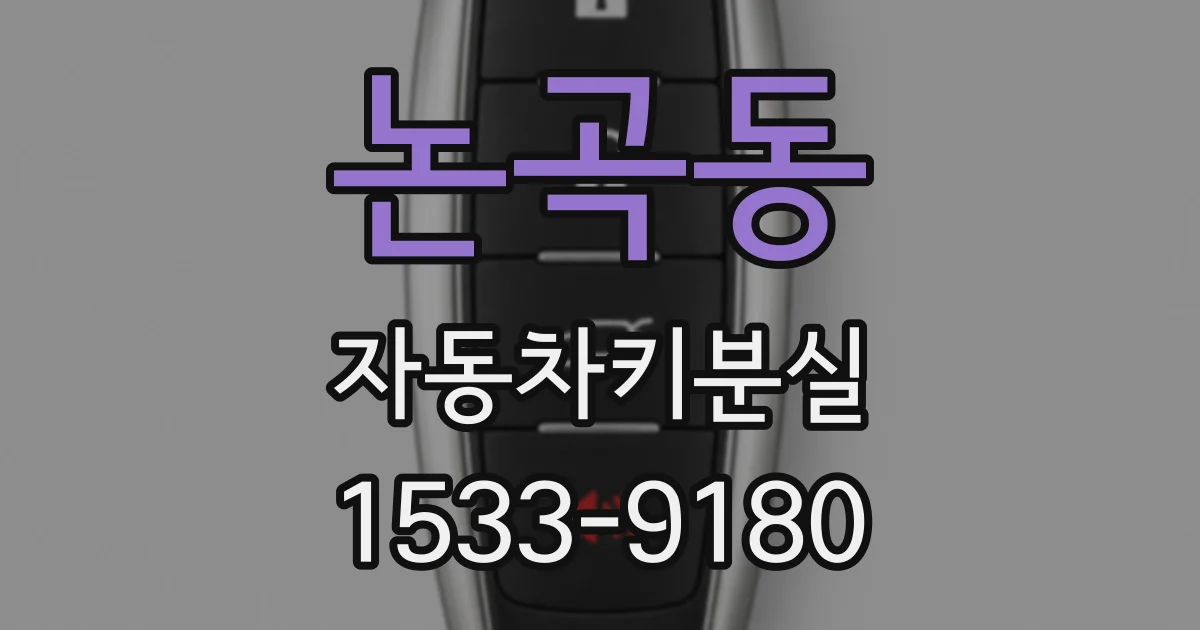 논곡동 자동차키분실