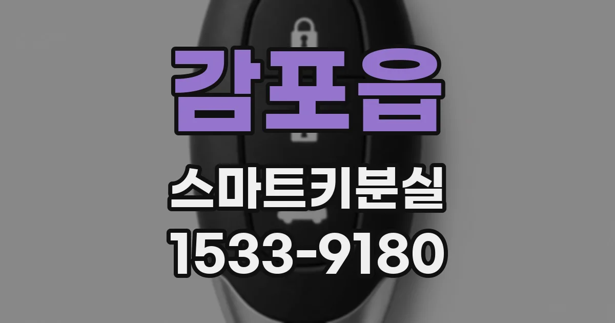 감포읍 스마트키분실