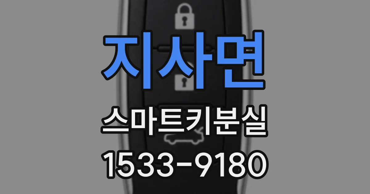 지사면 스마트키분실