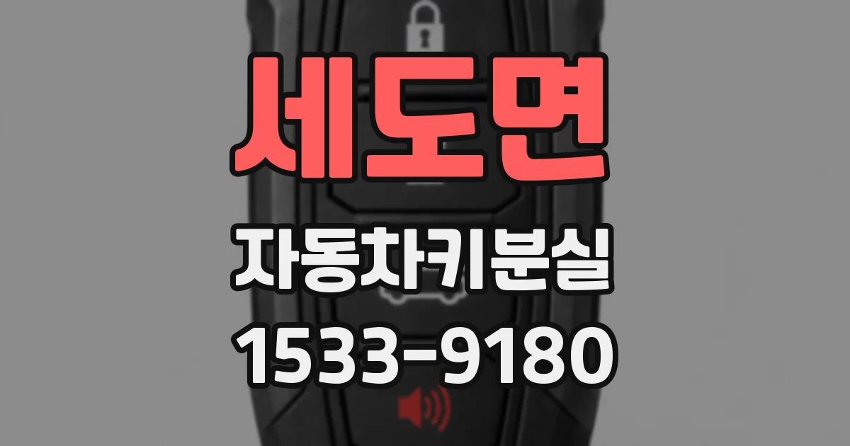 세도면 자동차키분실