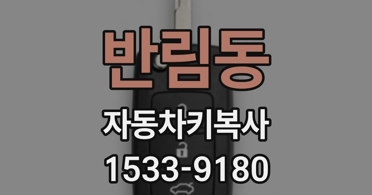 반림동 자동차키복사