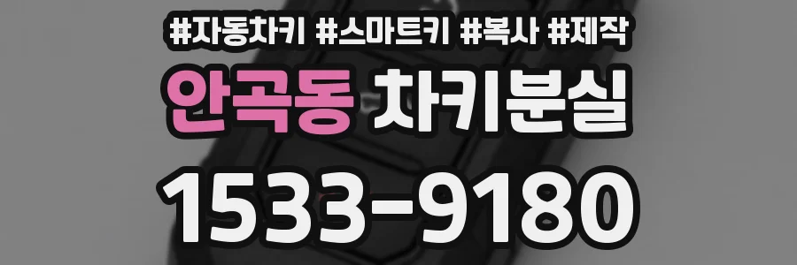 안곡동 차키분실