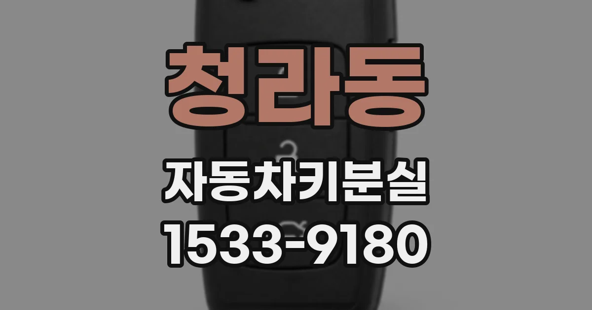 청라동 자동차키분실