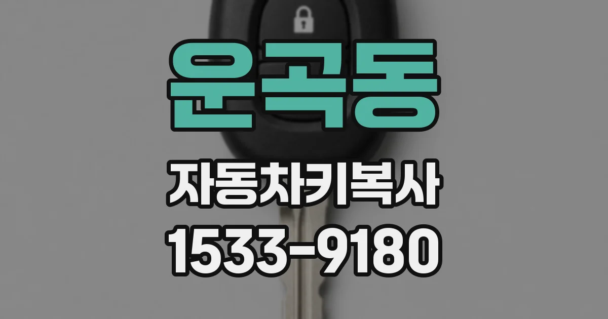운곡동 자동차키복사