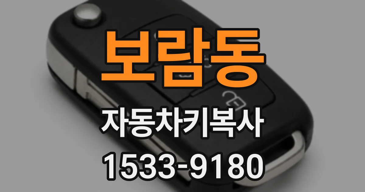 보람동 자동차키복사