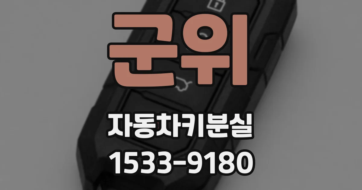 군위 자동차키분실