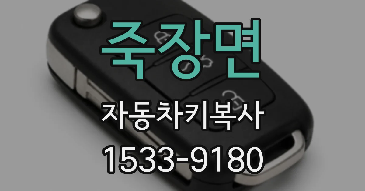 죽장면 자동차키복사