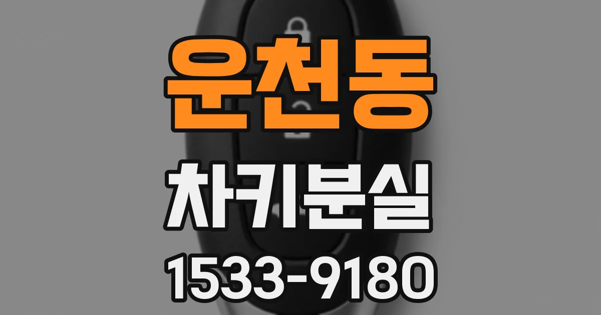 운천동 차키분실