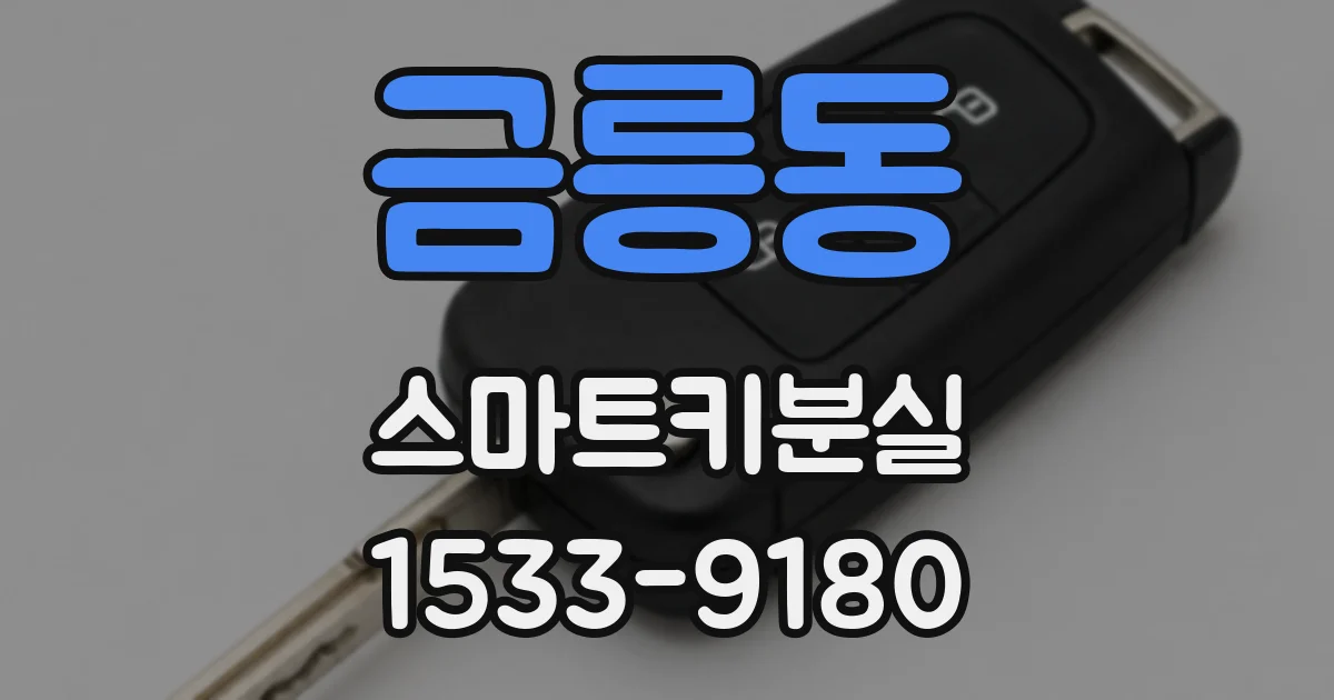 금릉동 스마트키분실