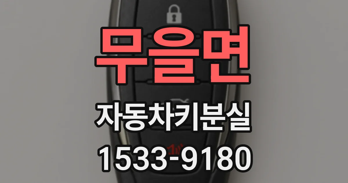 무을면 자동차키분실