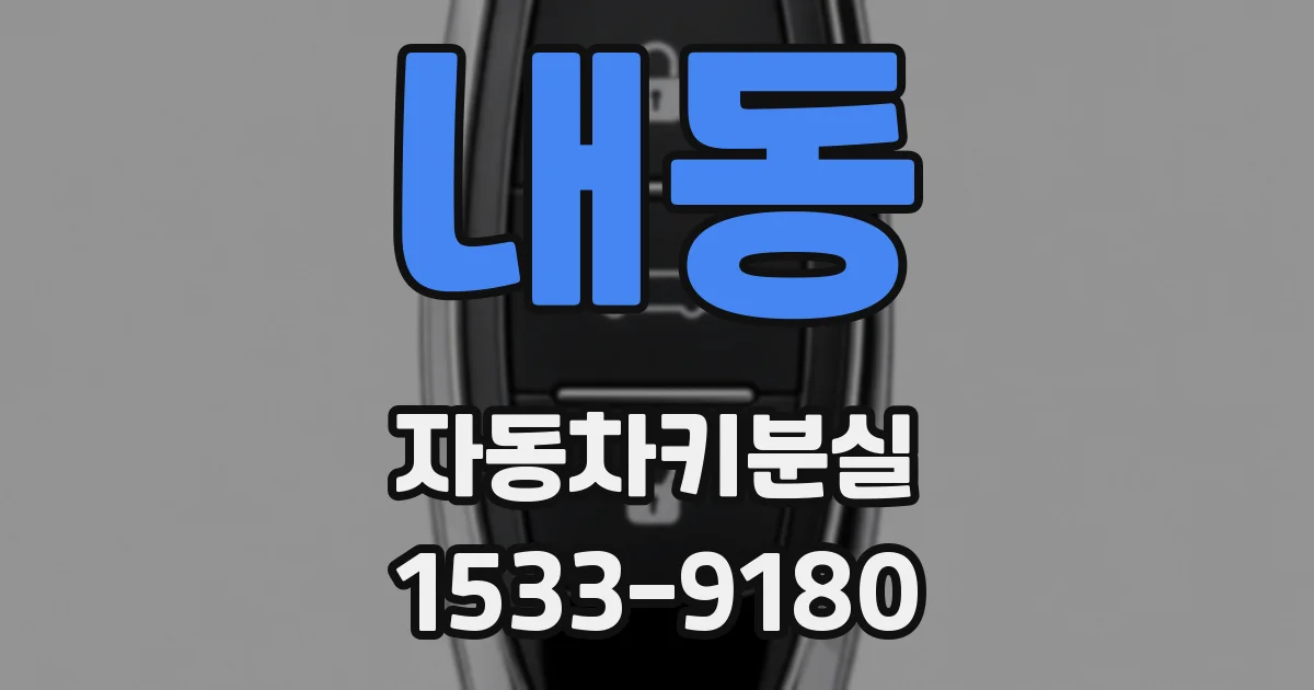 내동 자동차키분실