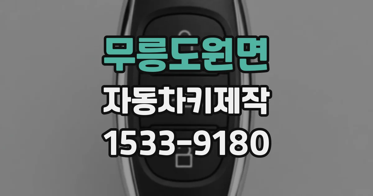 무릉도원면 자동차키제작