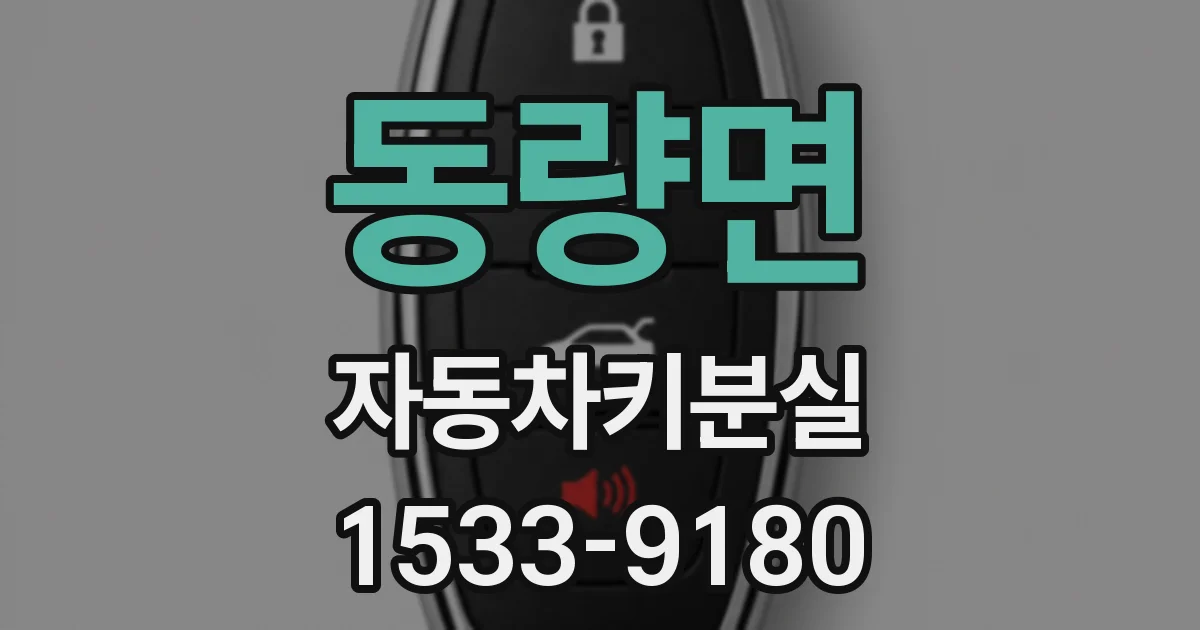 동량면 자동차키분실
