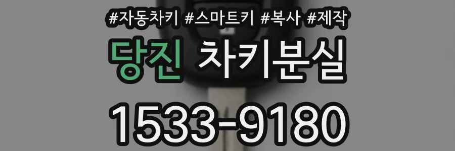 당진 차키분실