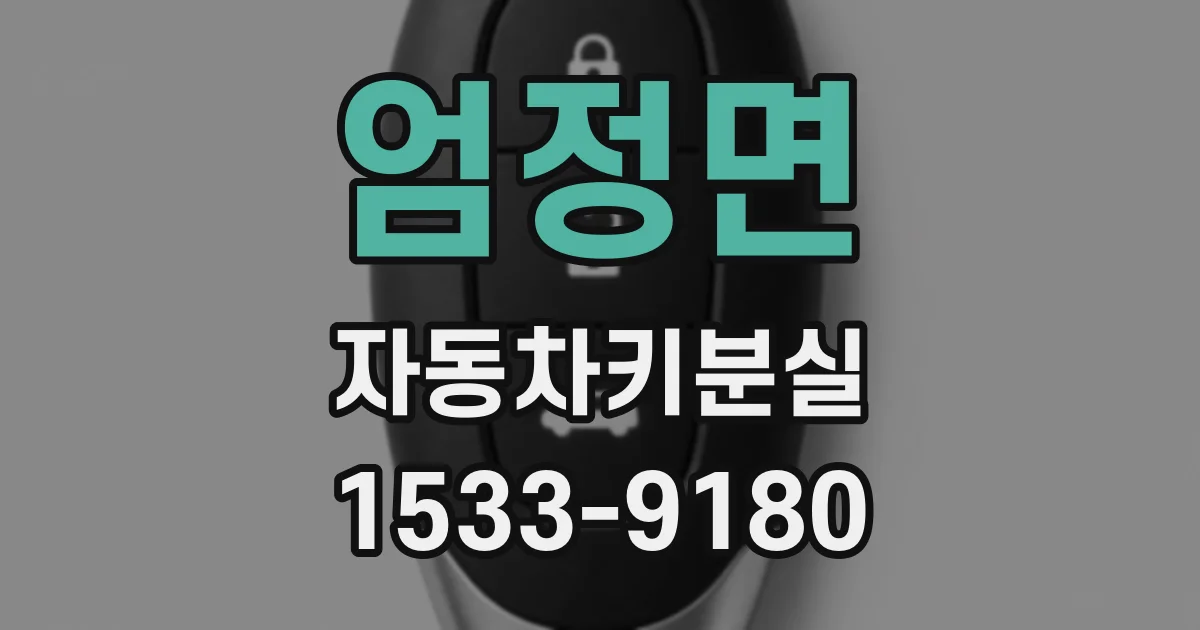 엄정면 자동차키분실