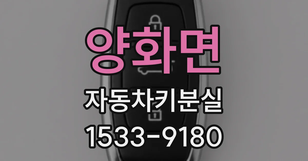 양화면 자동차키분실