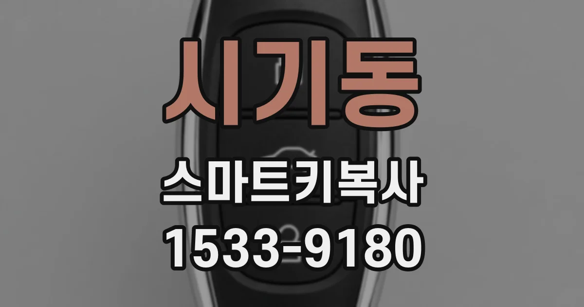시기동 스마트키복사