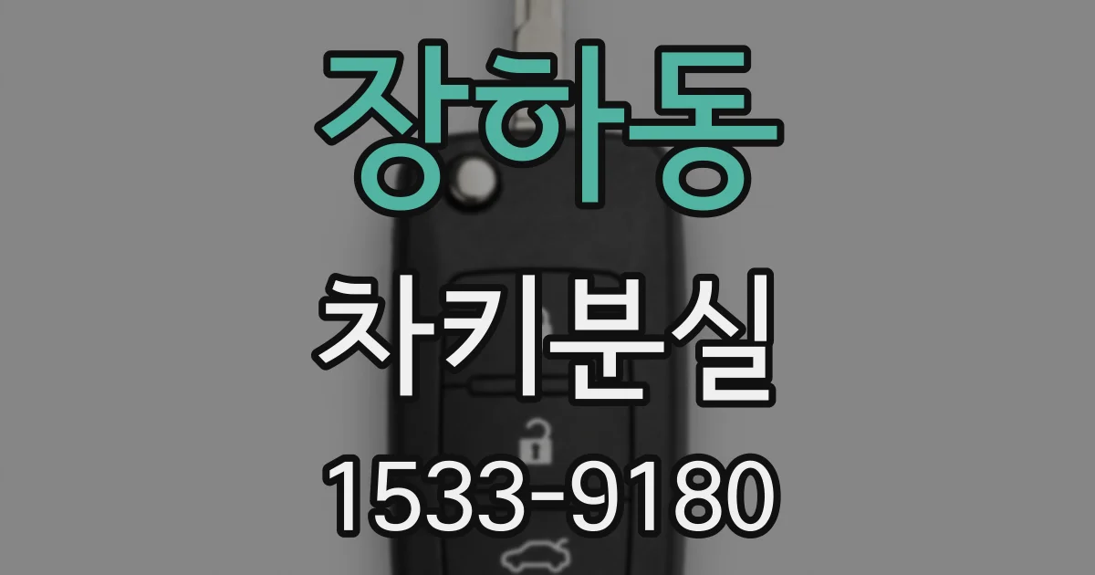 장하동 차키분실