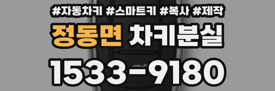 정동면 차키분실