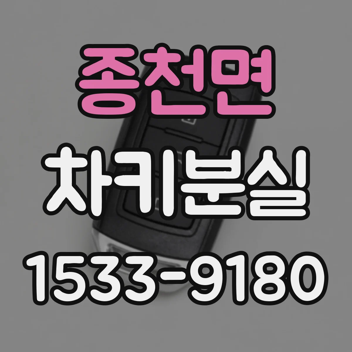 종천면 차키분실