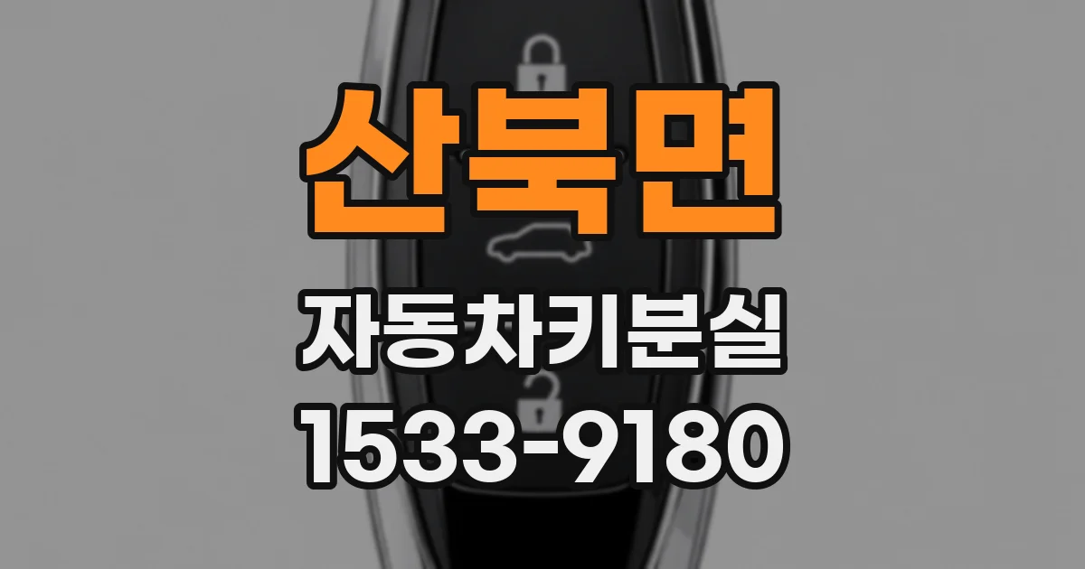 산북면 자동차키분실
