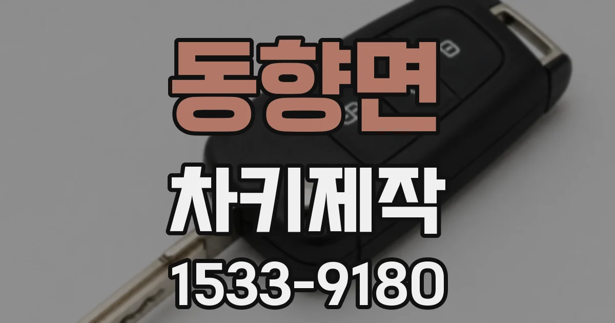 동향면 차키제작