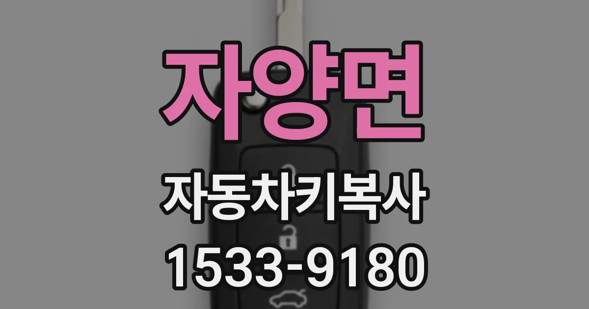 자양면 자동차키복사