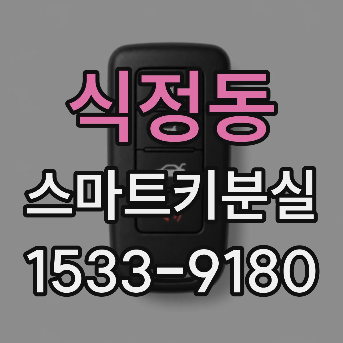 식정동 스마트키분실