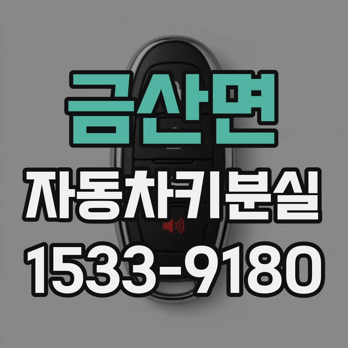 금산면 자동차키분실