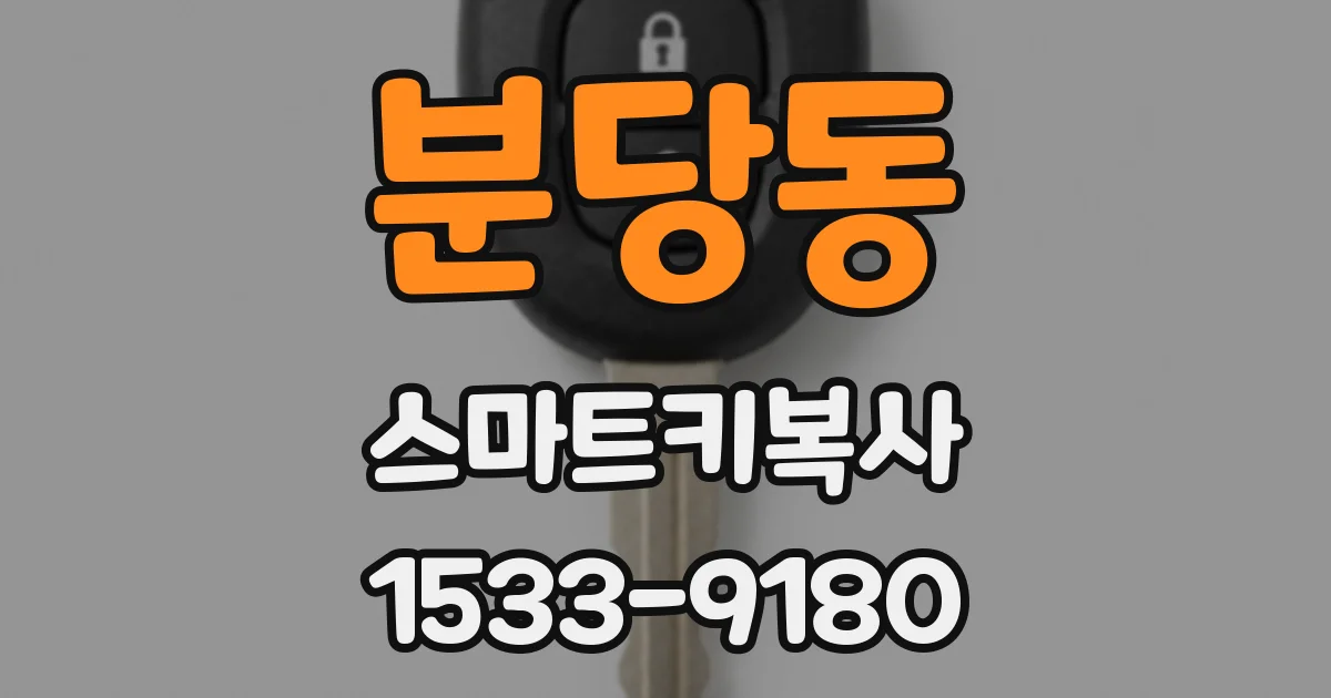 분당동 스마트키복사