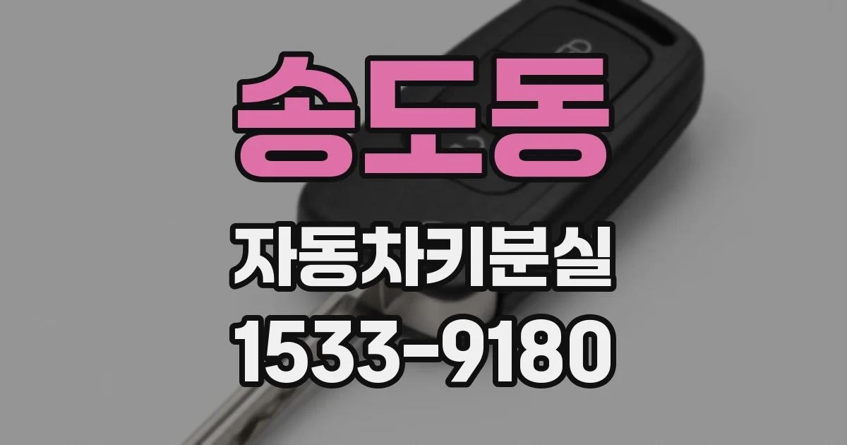 송도동 자동차키분실