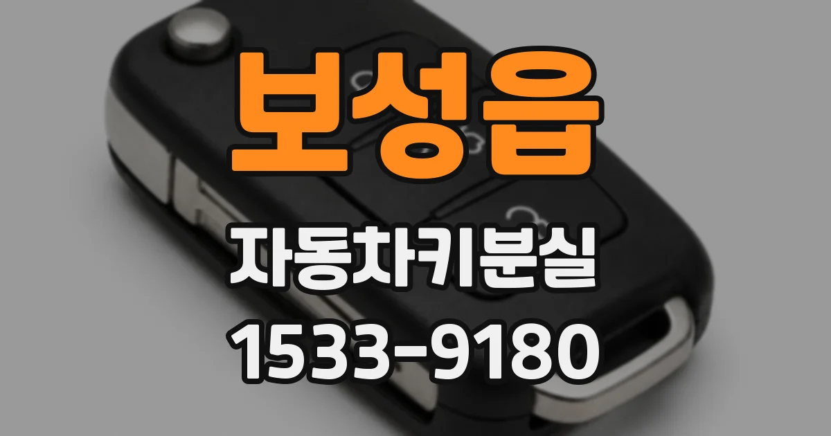 보성읍 자동차키분실
