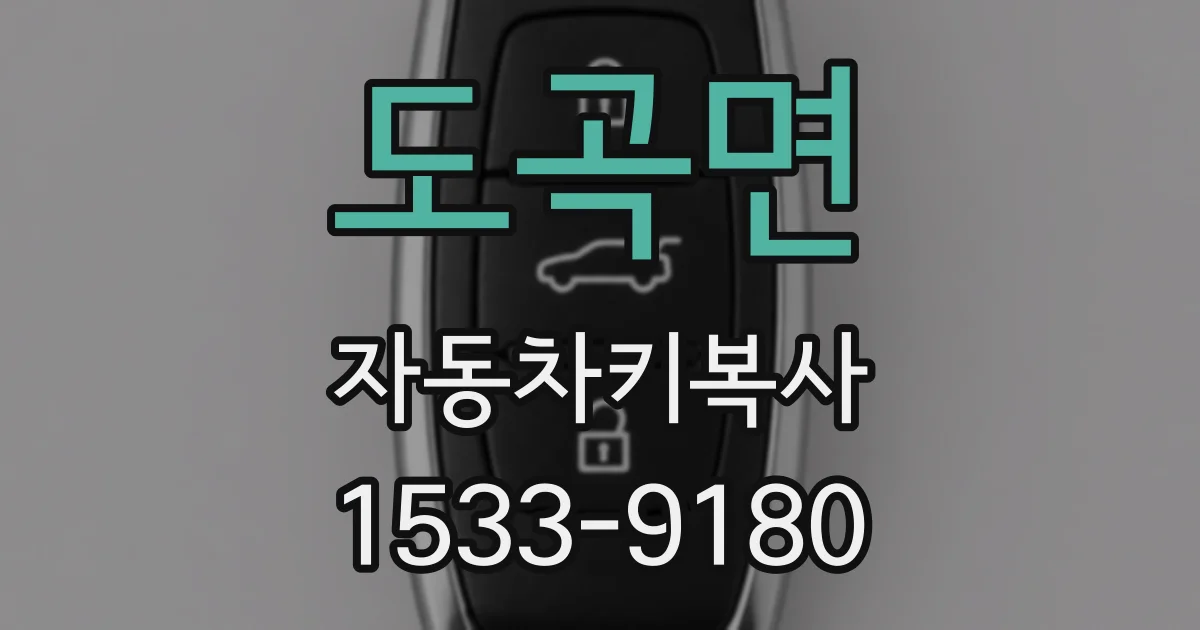 도곡면 자동차키복사