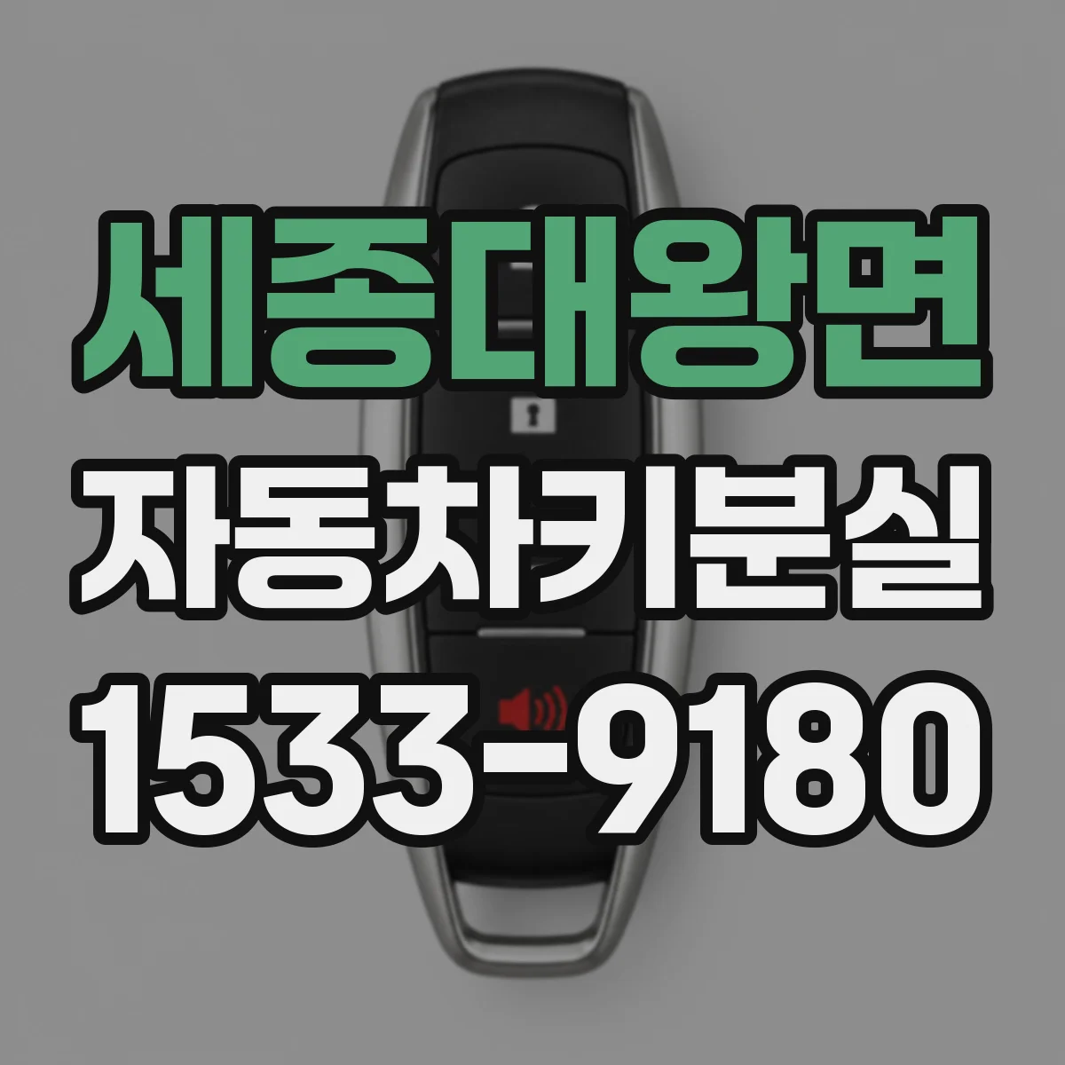 세종대왕면 자동차키분실
