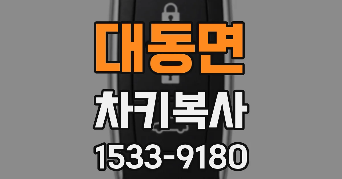 대동면 차키복사