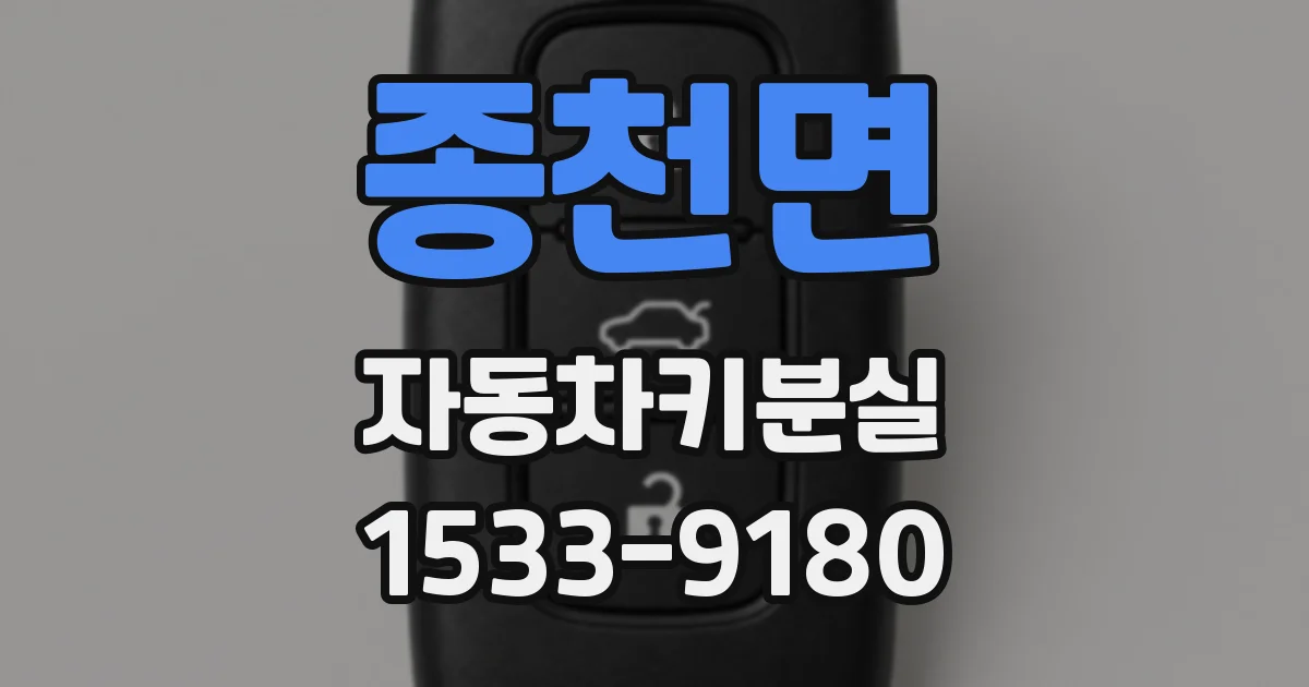 종천면 자동차키분실